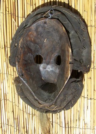 African Art Dan Mask With Horns From Liberia 19 