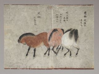 Fine Antique 19th Century Chinese Scroll Painting Of Horses 2