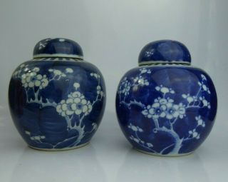 Chinese Antique Near Prunus Blossom Jars & Covers Qing - Kangxi Marks