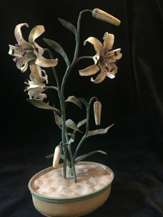Antique Vienna Bronze Flower Pot,  Lilly,  Cold Painted