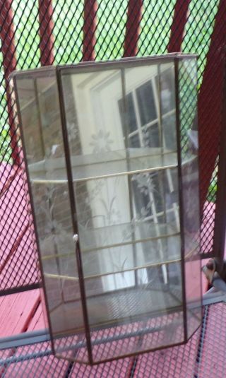 ANTIQUE ETCHED GLASS BRASS MIRROR BACK CURIO WALL DISPLAY SHADOWBOX 15 IN TALL 3