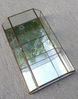 ANTIQUE ETCHED GLASS BRASS MIRROR BACK CURIO WALL DISPLAY SHADOWBOX 15 IN TALL 4