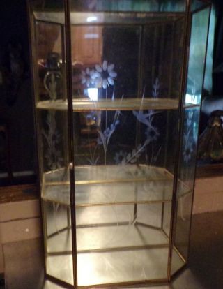 ANTIQUE ETCHED GLASS BRASS MIRROR BACK CURIO WALL DISPLAY SHADOWBOX 15 IN TALL 6