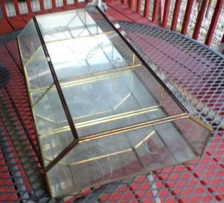 ANTIQUE ETCHED GLASS BRASS MIRROR BACK CURIO WALL DISPLAY SHADOWBOX 15 IN TALL 7