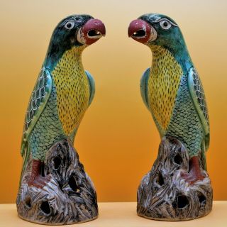 19th Century - Rare Antique Pair Chinese Porcelain Parrot Birds,