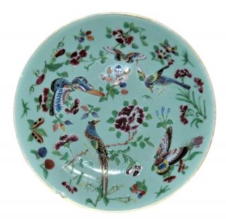 A 19th Centutry Celadon Chinese Famille Rose Plates With Exotic Birds.