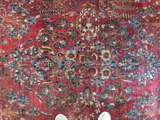 8 ' 5  x11 ' 6  Handmade Antique Persian Sarouk Rug 4