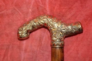 Stunning Victorian Period Gold Handled Cane W/Fine Natural Shaft & Brass Tip 10