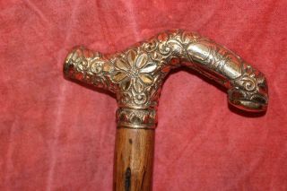 Stunning Victorian Period Gold Handled Cane W/Fine Natural Shaft & Brass Tip 11