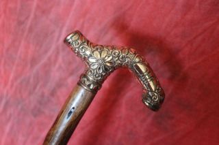 Stunning Victorian Period Gold Handled Cane W/fine Natural Shaft & Brass Tip