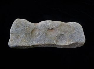 Big Old Aboriginal Stone Nut / Pipi Grinding Slab Gerroa Beach Nsw 37cm