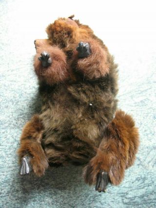 RARE ANTIQUE AUTOMATON GRIZZLY BROWN BEAR WIND UP TOY roullet decamps ?? TIN 9