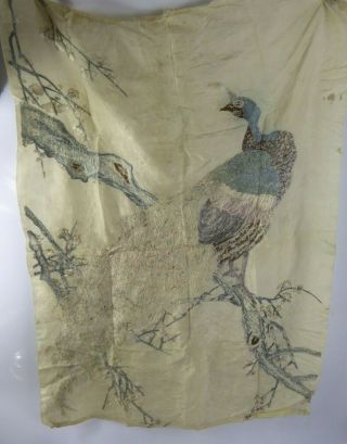 Chinese Antique Large Silk Embroidery of a Peacock - Very Fine Qing c19th Bird 11