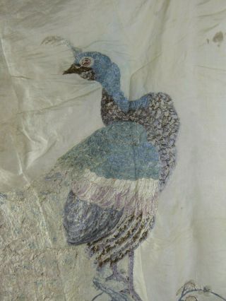Chinese Antique Large Silk Embroidery of a Peacock - Very Fine Qing c19th Bird 12
