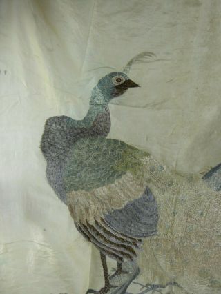 Chinese Antique Large Silk Embroidery of a Peacock - Very Fine Qing c19th Bird 2