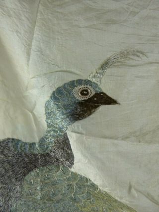 Chinese Antique Large Silk Embroidery of a Peacock - Very Fine Qing c19th Bird 3