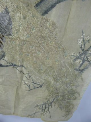 Chinese Antique Large Silk Embroidery of a Peacock - Very Fine Qing c19th Bird 5