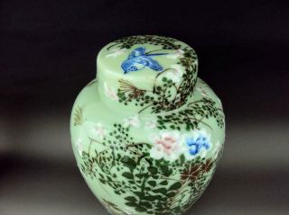 Rare & Elegant Japanese Antiques Oriental Seto Celadon Vase Tea Caddy 10