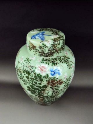 Rare & Elegant Japanese Antiques Oriental Seto Celadon Vase Tea Caddy