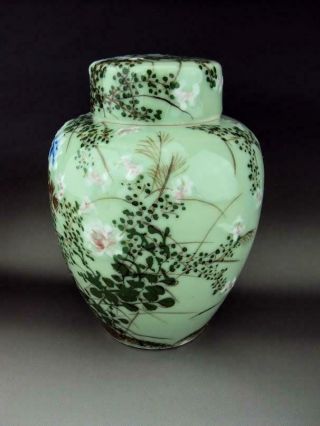 Rare & Elegant Japanese Antiques Oriental Seto Celadon Vase Tea Caddy 3