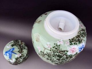 Rare & Elegant Japanese Antiques Oriental Seto Celadon Vase Tea Caddy 6