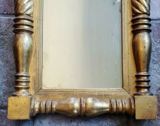 Fine 19th C Gold Gilt Mirror Carved Dolphin Federal Sheraton/Empire Acorn Finial 2