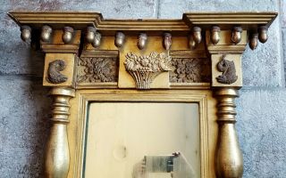 Fine 19th C Gold Gilt Mirror Carved Dolphin Federal Sheraton/Empire Acorn Finial 5