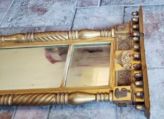 Fine 19th C Gold Gilt Mirror Carved Dolphin Federal Sheraton/Empire Acorn Finial 7