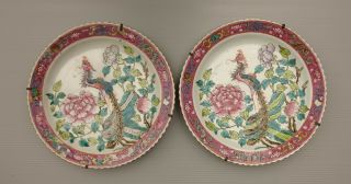 Pair Chinese Famille Rose Porcelain Nyonya Peranakan Straits Phoenix Plate 19thc