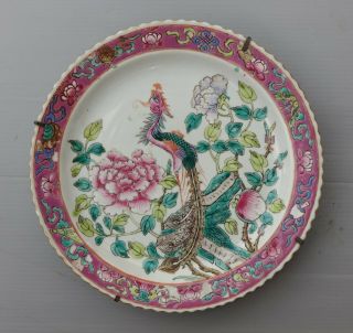 Pair Chinese Famille Rose Porcelain Nyonya Peranakan Straits Phoenix Plate 19thC 2