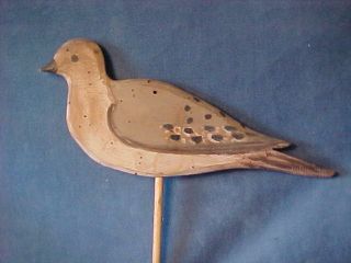 Rare Rig Of 6 Bucks County Pa Dove Decoys Paint Shot Holes Stick - Up