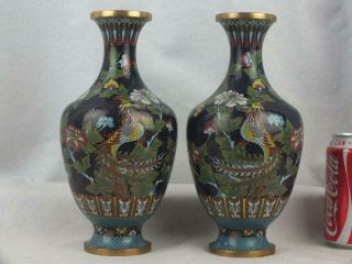 Pair Antique Chinese Cloisonne Phoenix Floral Vases