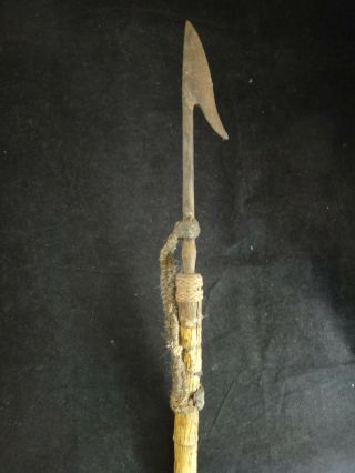 Vintage Guinea Wild Boar Spear W/wood Shaft - Hammered Sharp Iron Spearhead.