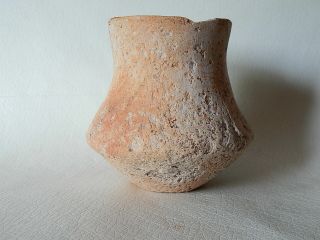 Prehistoric Cup 100 Mm