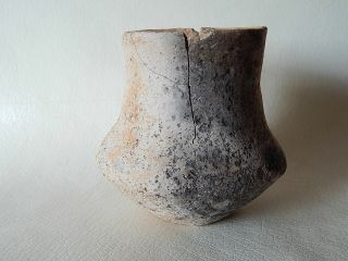 Prehistoric Cup 100 mm 2