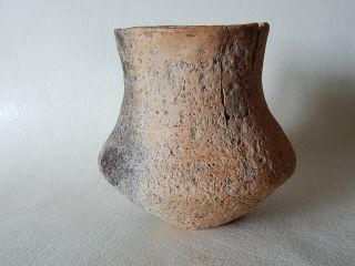 Prehistoric Cup 100 mm 3