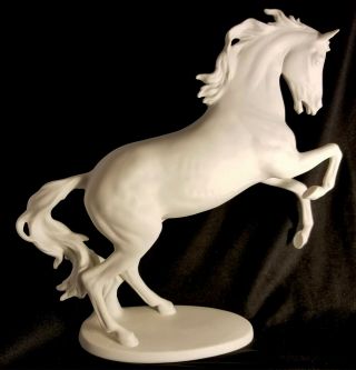 Kaiser " Meteor " Rearing Horse 380 White Bisque Designed By G.  Bochmann W.  Germany