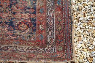 Antique Caucasian Shirvan Rug 6.  2ft c1900 Geometric Hand Weaved Aged Rustic Chic 4