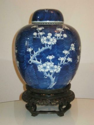 Stunning Large 19th Century Chinese Kangxi Porcelain Prunus Lidded Jar & Stand
