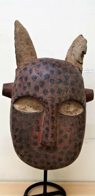 Tribal Bozo Spotted Hyena Mask - - Mali Fes 0175@80