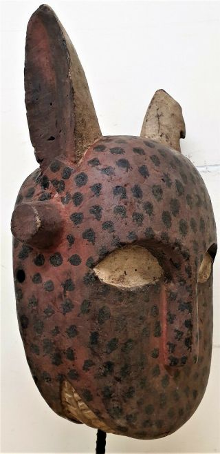 Tribal Bozo Spotted Hyena Mask - - Mali Fes 0175@80 2