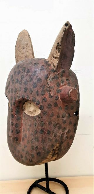 Tribal Bozo Spotted Hyena Mask - - Mali Fes 0175@80 3