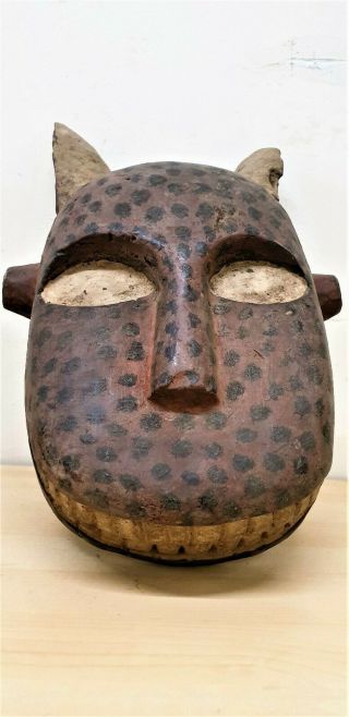 Tribal Bozo Spotted Hyena Mask - - Mali Fes 0175@80 4