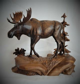 Bull Moose Walnut Wood Carving Sculpture By Joan Kosel
