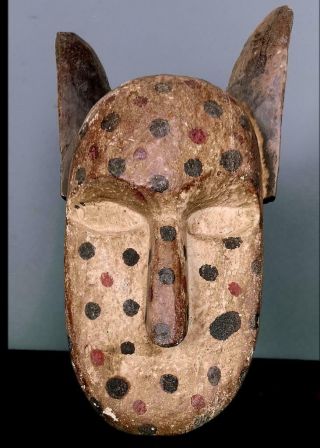 Outstanding Tribal Bozo Spotted Hyena Mask - - Mali Bn 31