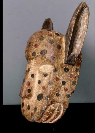 Outstanding Tribal Bozo Spotted Hyena Mask - - Mali BN 31 3