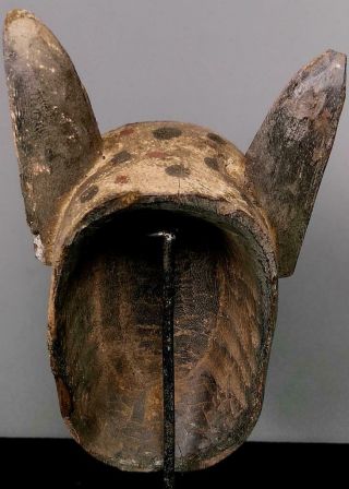 Outstanding Tribal Bozo Spotted Hyena Mask - - Mali BN 31 5