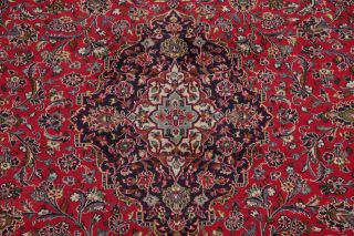 Traditional Wool Hand - Knotted Floral Room Size Oriental Area Rug Carpet 9 x 13 4