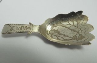 RARE DESIGN ANTIQUE GEORGIAN 1816 SOLID STERLING SILVER CADDY SPOON 3