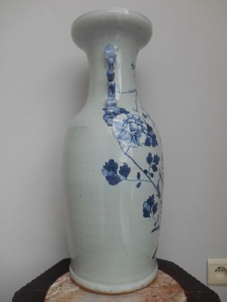 A 19th century large Chinese celadon ground vase with a decoration of birds 4